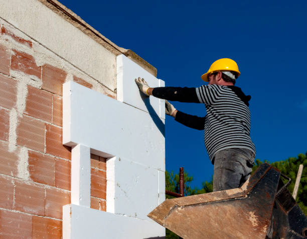 Best Cellulose Insulation  in Somerville, TX