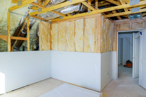 Best Best Insulation Companies  in Somerville, TX
