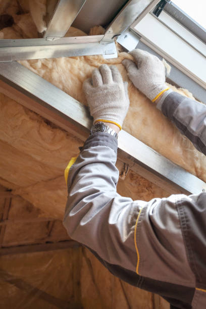 Best Blown-in Insulation  in Somerville, TX