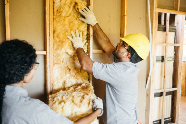 Best Spray Foam Insulation  in Somerville, TX