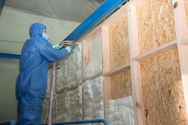 Insulation Repair Services in Somerville, TX